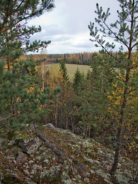 Kravunarkunm&auml;ki